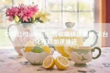 中微公司(688012)：营收端快速增长 平台化布局加速推进