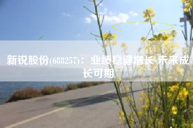 新锐股份(688257)：业绩稳健增长 未来成长可期