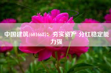 中国建筑(601668)：夯实资产 分红稳定能力强