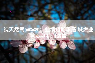 皖天然气(603689)：业绩短期承压 城燃业务贡献利润增量
