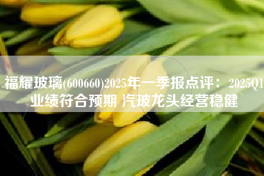 福耀玻璃(600660)2025年一季报点评：2025Q1业绩符合预期 汽玻龙头经营稳健