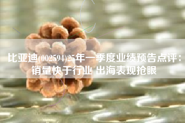 比亚迪(002594)25年一季度业绩预告点评：销量快于行业 出海表现抢眼