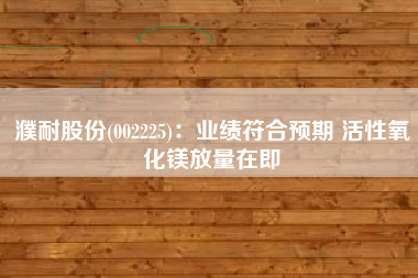 濮耐股份(002225)：业绩符合预期 活性氧化镁放量在即