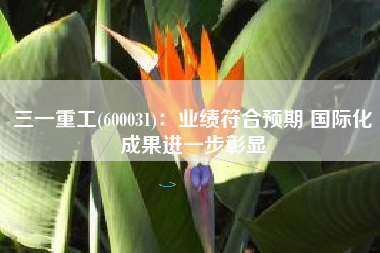 三一重工(600031)：业绩符合预期 国际化成果进一步彰显