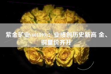紫金矿业(601899)：业绩创历史新高 金、铜量价齐升