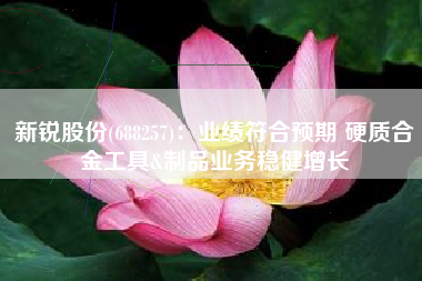 新锐股份(688257)：业绩符合预期 硬质合金工具&制品业务稳健增长