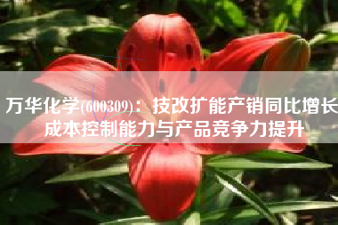 万华化学(600309)：技改扩能产销同比增长 成本控制能力与产品竞争力提升