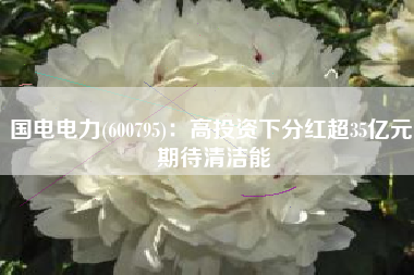 国电电力(600795)：高投资下分红超35亿元 期待清洁能