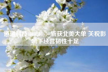 道通科技(688208)：斩获北美大单 关税影响下经营韧性十足