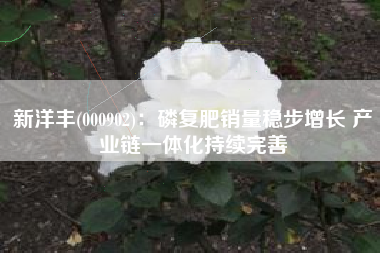新洋丰(000902)：磷复肥销量稳步增长 产业链一体化持续完善