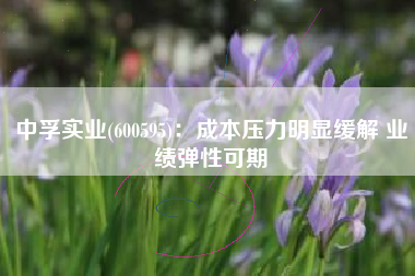 中孚实业(600595)：成本压力明显缓解 业绩弹性可期