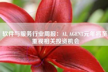 软件与服务行业周报：AL AGENT元年将至 重视相关投资机会