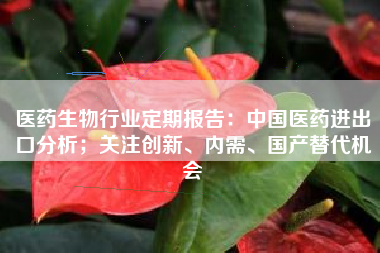 医药生物行业定期报告：中国医药进出口分析；关注创新、内需、国产替代机会