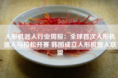 人形机器人行业周报：全球首次人形机器人马拉松开赛 韩国成立人形机器人联盟