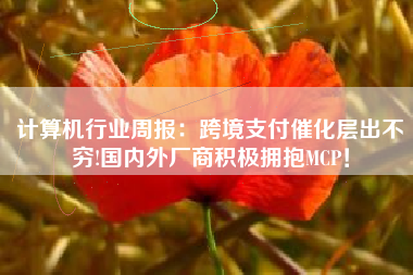 计算机行业周报：跨境支付催化层出不穷!国内外厂商积极拥抱MCP！