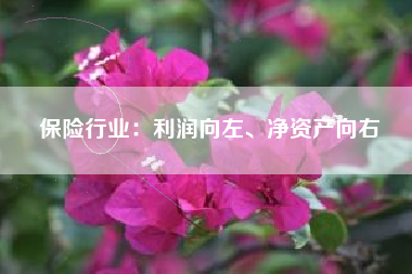 保险行业：利润向左、净资产向右