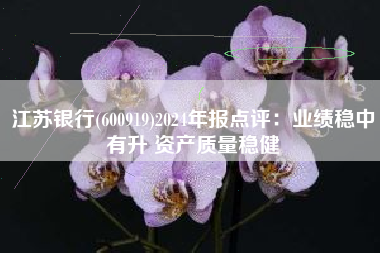 江苏银行(600919)2024年报点评：业绩稳中有升 资产质量稳健