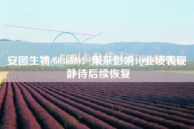 安图生物(603658)：集采影响1Q业绩表现 静待后续恢复