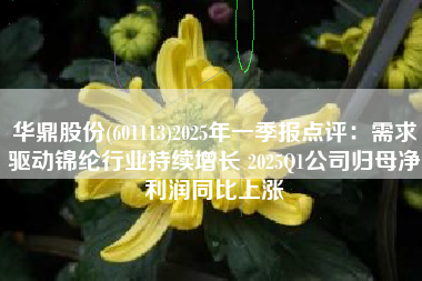 华鼎股份(601113)2025年一季报点评：需求驱动锦纶行业持续增长 2025Q1公司归母净利润同比上涨