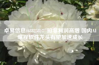 卓易信息(688258)：扣非利润高增 国内AI编程软件龙头有望加速成长
