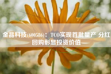 金晶科技(600586)：TCO实现首批量产 分红回购彰显投资价值