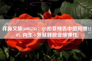 祥源文旅(600576)：Q1扣非预告中值同增120% 内生+外延释放业绩弹性