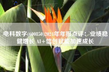 电科数字(600850)2024年年报点评：业绩稳健增长 AI+信创赋能加速成长