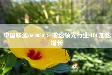 中国联通(600050)：增速领先行业 IDC加速增长