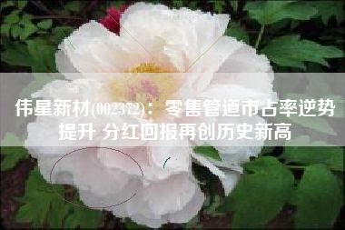 伟星新材(002372)：零售管道市占率逆势提升 分红回报再创历史新高