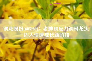 银龙股份(603969)：老牌预应力钢材龙头 迈入快速成长新阶段