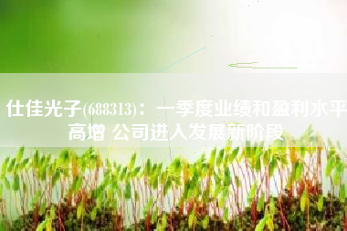 仕佳光子(688313)：一季度业绩和盈利水平高增 公司进入发展新阶段