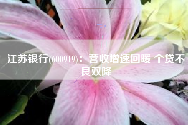 江苏银行(600919)：营收增速回暖 个贷不良双降