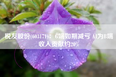 税友股份(603171)：G端如期减亏 AI为B端收入贡献约20%