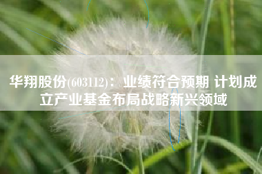 华翔股份(603112)：业绩符合预期 计划成立产业基金布局战略新兴领域