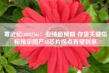 寒武纪(688256)：业绩超预期 存货关键指标预示国产AI芯片拐点有望到来
