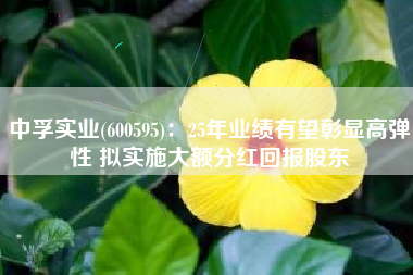 中孚实业(600595)：25年业绩有望彰显高弹性 拟实施大额分红回报股东