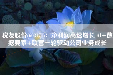 税友股份(603171)：净利润高速增长 AI+数据要素+联营三轮驱动公司业务成长