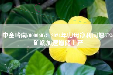 中金岭南(000060)：2024年归母净利同增57% 矿端加速增储上产