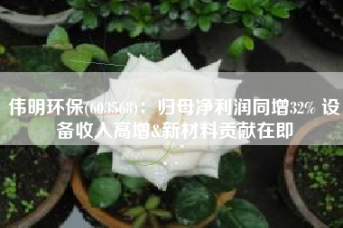 伟明环保(603568)：归母净利润同增32% 设备收入高增&新材料贡献在即