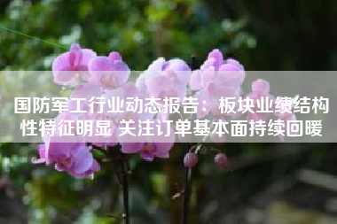 国防军工行业动态报告：板块业绩结构性特征明显 关注订单基本面持续回暖
