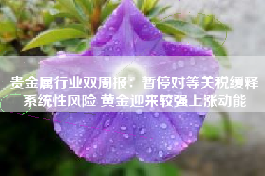 贵金属行业双周报：暂停对等关税缓释系统性风险 黄金迎来较强上涨动能