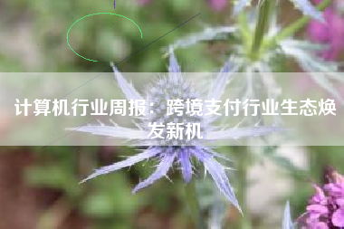 计算机行业周报：跨境支付行业生态焕发新机