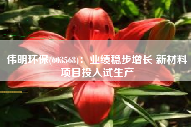 伟明环保(603568)：业绩稳步增长 新材料项目投入试生产