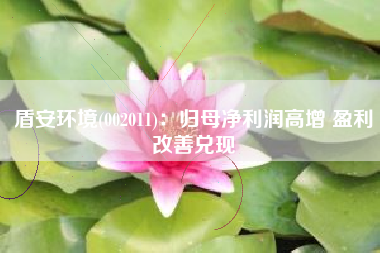 盾安环境(002011)：归母净利润高增 盈利改善兑现