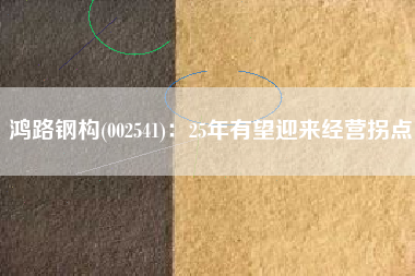 鸿路钢构(002541)：25年有望迎来经营拐点