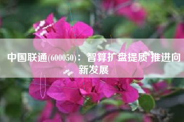中国联通(600050)：智算扩盘提质 推进向新发展