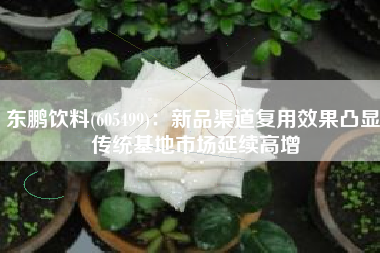 东鹏饮料(605499)：新品渠道复用效果凸显 传统基地市场延续高增