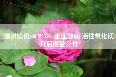 濮耐股份(002225)：主业触底 活性氧化镁开启批量交付