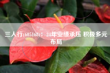 三人行(605168)：24年业绩承压 积极多元布局