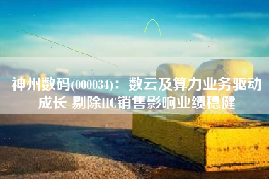 神州数码(000034)：数云及算力业务驱动成长 剔除IIC销售影响业绩稳健